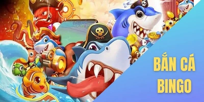Bắn cá bingo hấp dẫn