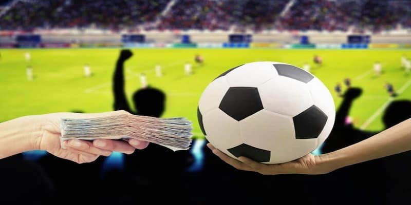 Giới thiệu đôi nét về cá cược bóng đá