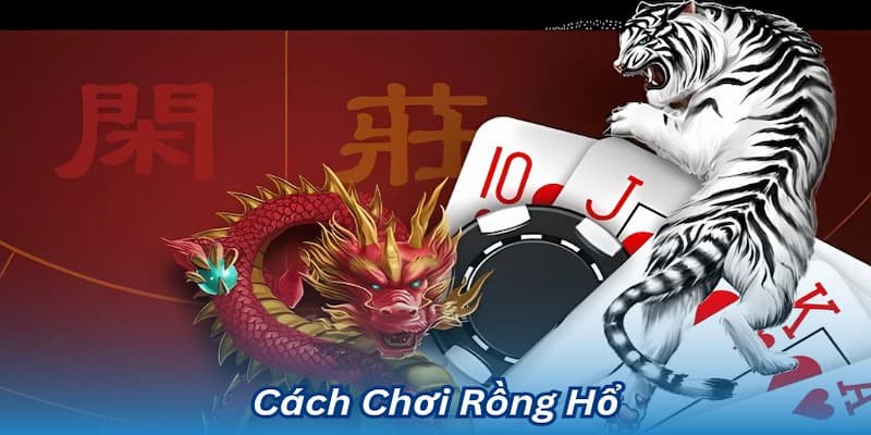 Cách chơi rồng hổ dễ hiểu