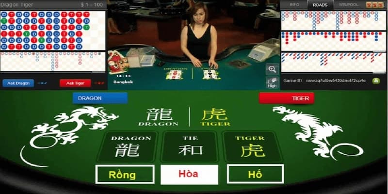 Bí quyết cược rồng hổ từ cao thủ