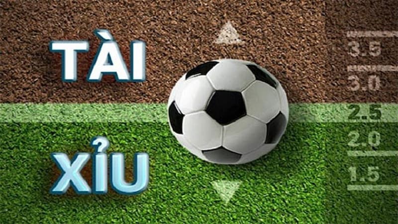 thuật ngữ cá độ bóng đá
