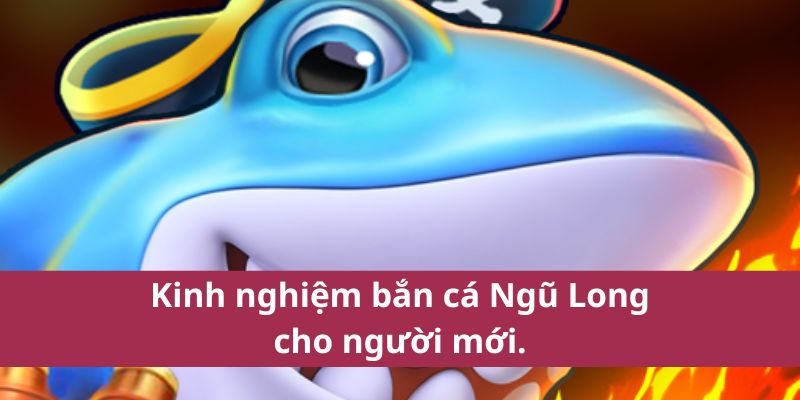 Kinh nghiệm bắn cá Ngũ Long cho người mới