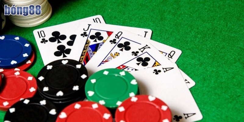 Trải nghiệm game bài Mậu Binh tại Bong88 với đồ họa sắc nét và lối chơi hấp dẫn.